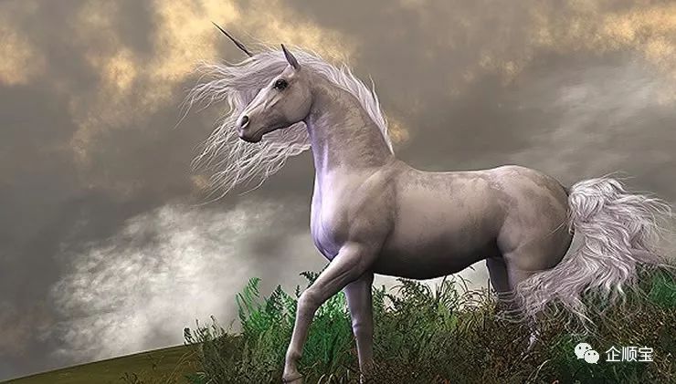 有限责任公司和股份有限公司的异同