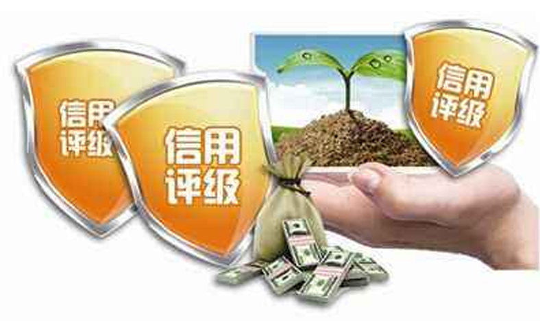 这10种情形直接被判为D级！