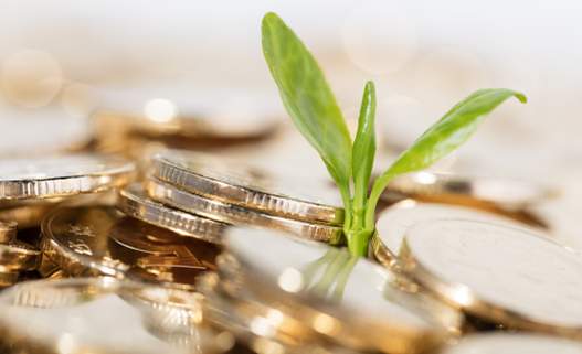 小规模纳税人销售自己使用过的固定资产如何填写申报表?